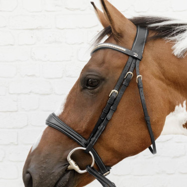 Muserolle anatomique sans sous barbe Dy'on - Équitation