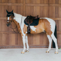 Tapis de selle d'équitation Kentucky Wave pour jumping