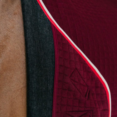 Couverture séchante d'équitation Kentucky PROtherm