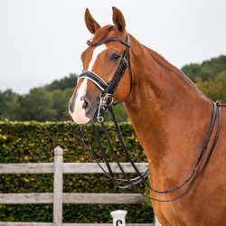 Bride Dy'on collection dressage cuir plat Muserolle Large Vernie Doublure Blanche Noir Bride Dy'on collection dressage cuir plat Muserolle Large Vernie Doublure Blanche Noir