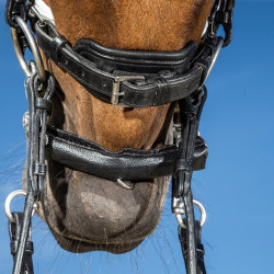 Bride Dy'on collection dressage cuir plat Muserolle Large Vernie Doublure Blanche Noir Bride Dy'on collection dressage cuir plat Muserolle Large Vernie Doublure Blanche Noir