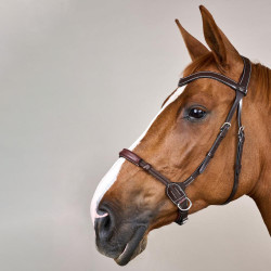 Bridon sans mors pour chevaux sensibles - Dy'on