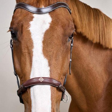 Bridon sans mors pour chevaux sensibles - Dy'on
