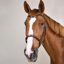 Bridon sans mors pour chevaux sensibles - Dy'on