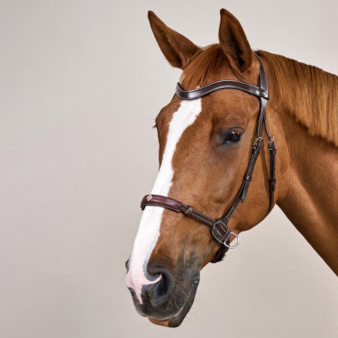 Bridon sans mors pour chevaux sensibles - Dy'on