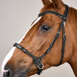Bridon sans mors Bitless Dy'on Noir