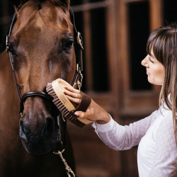 Brosse douce en poils nylon pour chevaux sensibles
