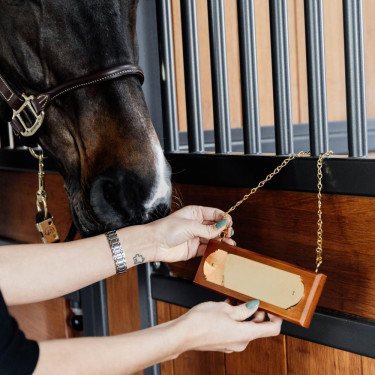 Plaque de Box Grooming Deluxe by Kentucky Brun Marron