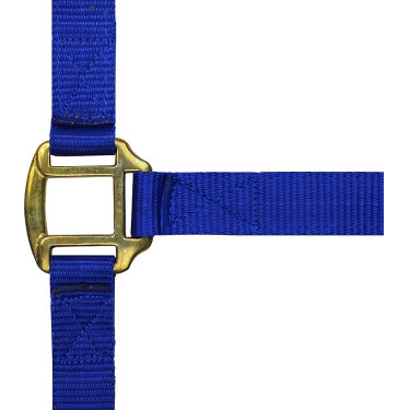 Licol nylon doublé cuir Norton Licol nylon doublé cuir Norton