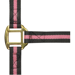 Licol nylon doublé cuir Norton Marine / blanc / bleu