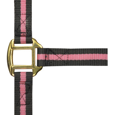 Licol nylon doublé cuir Norton Licol nylon doublé cuir Norton