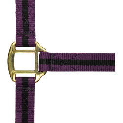 Licol nylon doublé cuir Norton Violet / noir