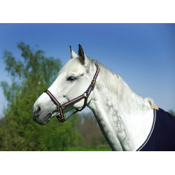 Licol nylon doublé cuir Norton Marine / blanc / bleu