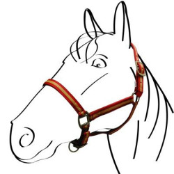 Licol nylon doublé cuir Norton Marine / blanc / bleu