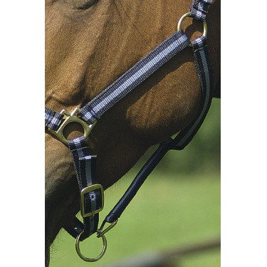 Licol nylon doublé cuir Norton Licol nylon doublé cuir Norton