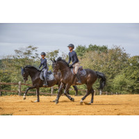 Gants de compétition Pro Series Show Gants de compétition Pro Series Show