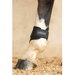 Protèges-boulets d'équitation Harcour Maddi