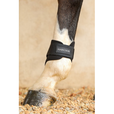 Protèges-boulets d'équitation Harcour Maddi