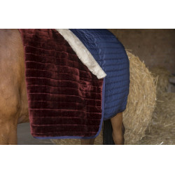 Couverture d'écurie Equithème Teddy doublée mouton synthétique Bleu marine