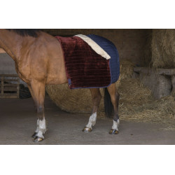 Couverture d'écurie Equithème Teddy doublée mouton synthétique Bleu marine