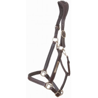 Licol Cuir Avec Plaque Tetiere Anatomique T de T Marron foncé Licol Cuir Avec Plaque Tetiere Anatomique T de T Marron foncé
