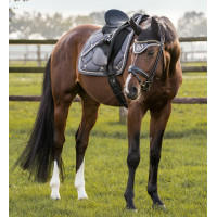 Tapis de Selle CSO Night Collection Back On Track Gris Tapis de Selle CSO Night Collection Back On Track Gris