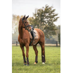 Tapis de selle Back on Track Haze Collection Marron Tapis de selle Back on Track Haze Collection Marron