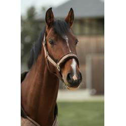 Licol Back on Track Haze Collection Marron