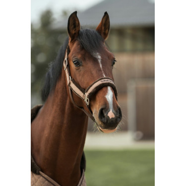 Licol Back on Track Haze Collection Marron