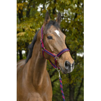 Licol + longe Equitheme Satiné Marine / fuchsia Bleu Licol + longe Equitheme Satiné Marine / fuchsia Bleu