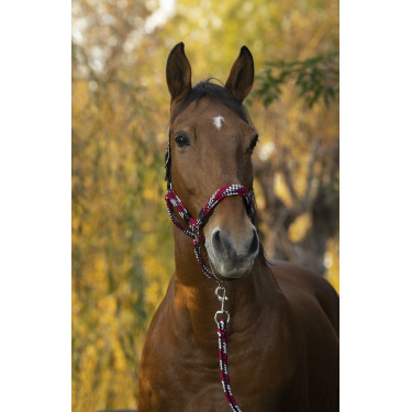 Licol + longe Equitheme Tressé Licol + longe Equitheme Tressé