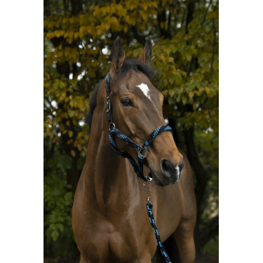 Licol + longe Equitheme Tressé Licol + longe Equitheme Tressé