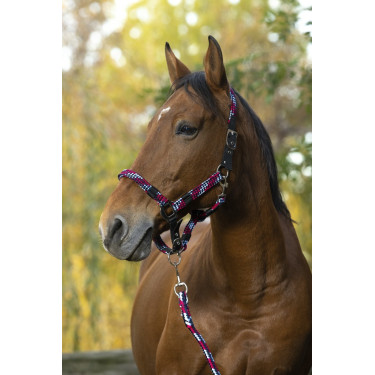 Licol + longe Equitheme Tressé Licol + longe Equitheme Tressé