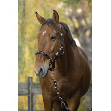 Licol + longe Equitheme Tressé Licol + longe Equitheme Tressé