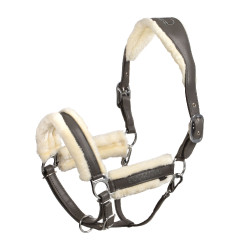 Licol Equestro en polypropylène avec rembourrage en mouton synthétique