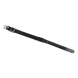Collier pour chien Equestro en Cordura