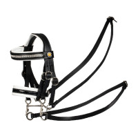 Bride pour cheval jouet Equestro avec rembourrage blanc Rock Sheet Bride pour cheval jouet Equestro avec rembourrage blanc Rock Sheet