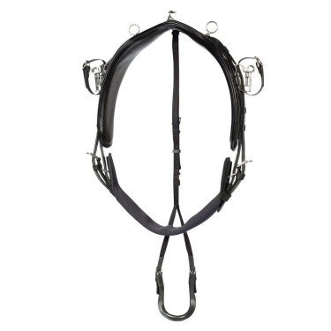 HARNAIS QH PRO D'ENTRAINEMENT COMPLET SYNTHETIQUE
