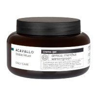Arnica Acavallo 90 au menthol Arnica Acavallo 90 au menthol