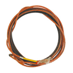 Lasso professionnel Pool's d’occasion USA