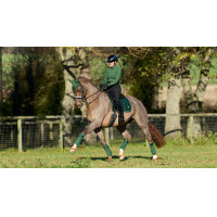 Tapis de selle d'équitation LeMieux Loire Dressage