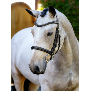 Bridon Arika Cavesson LeMieux Marron / argent