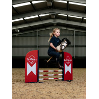 Obstacle Hobby Horse LeMieux Bleu benetton