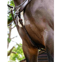 Collier de chasse en 5 points Kudos LeMieux