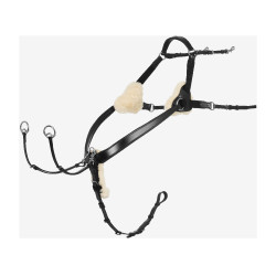 Collier de chasse en 5 points Kudos LeMieux Noir