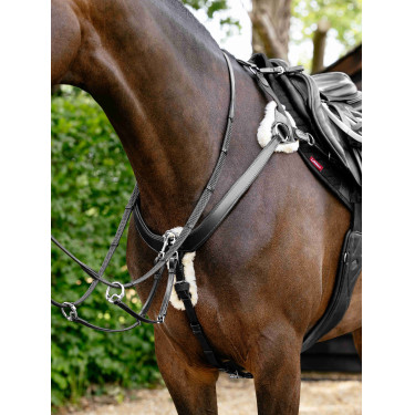 Collier de chasse en 5 points Kudos LeMieux Noir