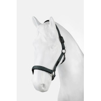 Licol Milan Horze Balsam green Vert