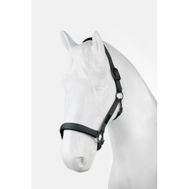 Licol Milan Horze Balsam green Vert