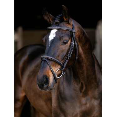Bridon Flash Arika Classique LeMieux