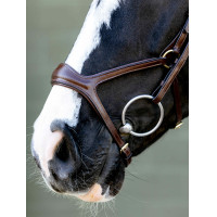 Bridon Kudos Sport LeMieux